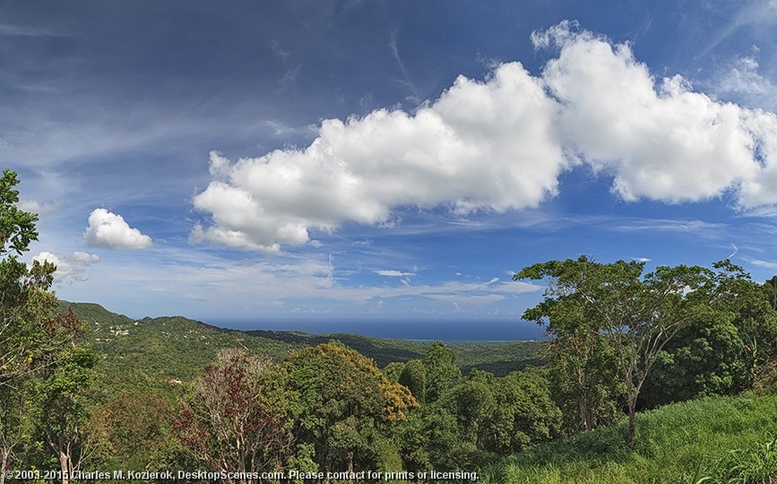 Jamaican Coastal Panorama