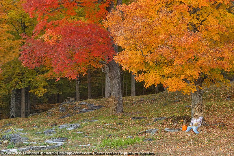 Vermont Autumn Cliche 