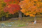Vermont_Autumn_Cliche.jpg