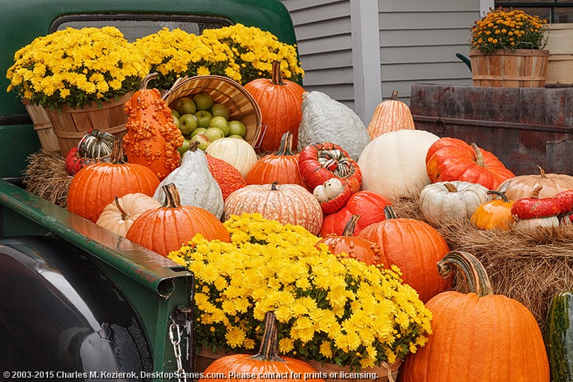 Harvest Display at the Vermont Country Store 