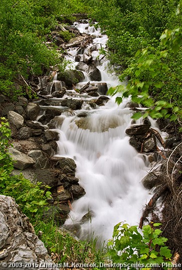 Avalanche Creek Cascade